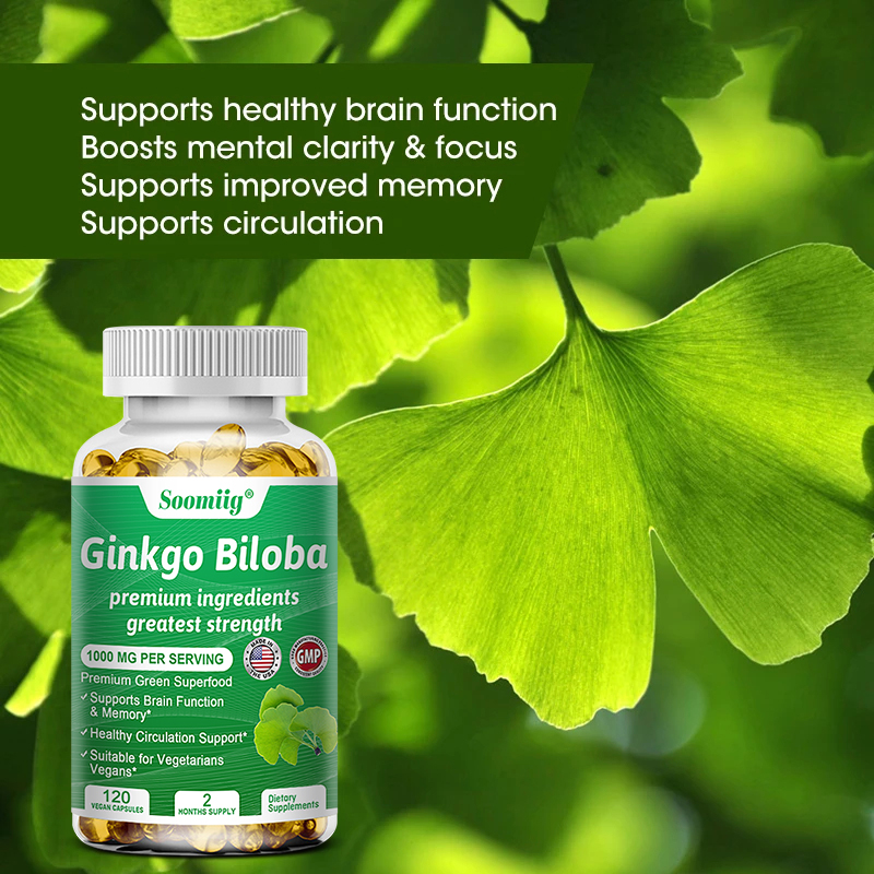 Ginkgo Biloba Extract - Ginkgo-Biloba-Kapseln – Gehirnergänzung für Gedächtnis und