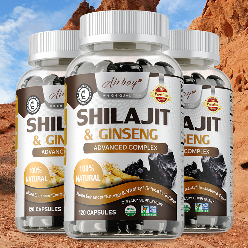 Shilajit & Ginseng – Energie-  – Ginkgo Biloba Extract Bewertung und Preis