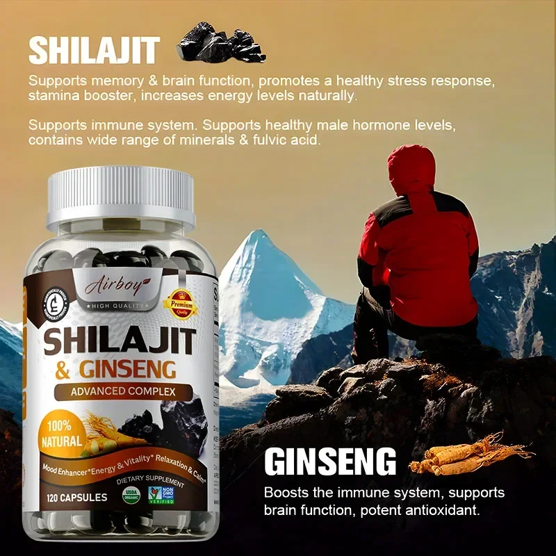 Shilajit & Ginseng – Energie-  – Ginkgo Biloba Extract Bewertung und Preis