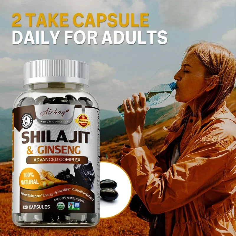 Shilajit & Ginseng – Energie-  – Ginkgo Biloba Extract Bewertung und Preis