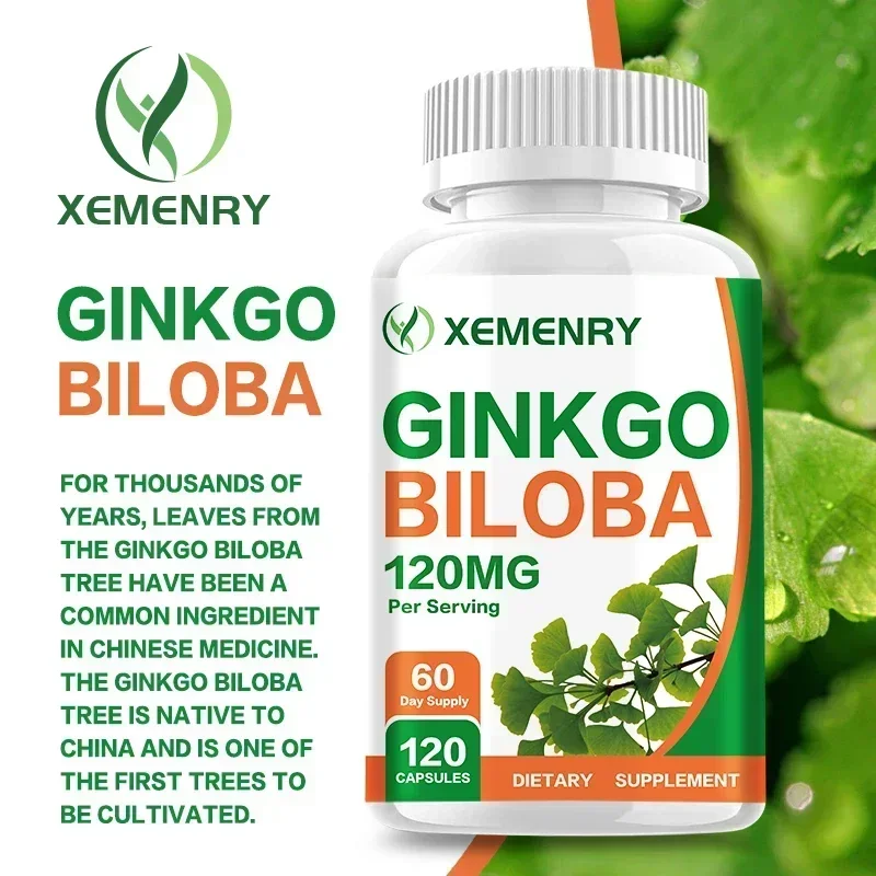 Ginkgo Biloba-Kapseln – Gehirn – Ginkgo Biloba Extract Bewertung und Preis