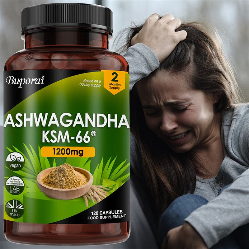 Ashwagandha KSM-66 1200 mg – U – Ginkgo Biloba Extract Bewertung und Preis
