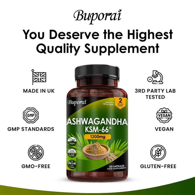 Ashwagandha KSM-66 1200 mg – U – Ginkgo Biloba Extract Bewertung und Preis